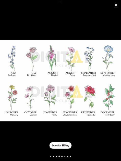 Poppies And Gladiolus Tattoo, Poinsettia Tattoo, Poinsettia Flower, Morning Glory, Forget Me Not, Chrysanthemum, Poinsettia, Tattoos And Piercings, Small Tattoos