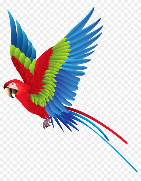 Kabutar Png Hd, Parrot Png Hd, Parrot Png, Flying Bird Drawing, Colourful Parrot, Flying Parrot, Birds Png, Fly Bird, Parrot Flying