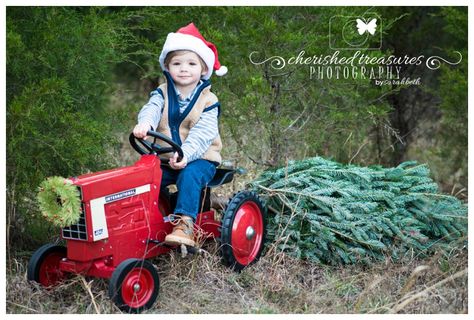 I borrowed this tractor from a friend at church. Used a small grove of pine trees behind the school where I teach as a location for Christmas sessions. Purchased a small tree from Walmart and cut the top of for the prop in this picture. Toddler Christmas Pictures, Toddler Christmas Photos, Christmas Baby Pictures, Christmas Card Pictures, Baby Christmas Photos, Four Wheeler, Christmas Photo Props, Xmas Pictures, Xmas Photos