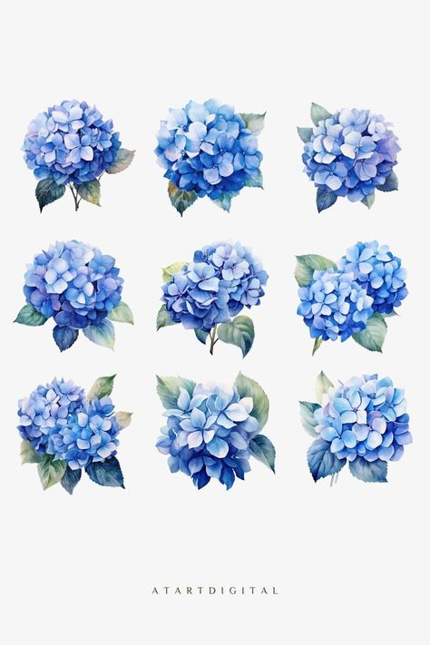 Watercolor Hydrangea Clipart, Floral Wedding Decorations Digital Download, Spring Floral Arrangements Clip Art, Hydrangea Sticker - Etsy Hydrangea Sticker, Hydrangea Clipart, Hydrangea Pattern, Hydrangea Watercolor, Hydrangeas Art, Wedding Collage, Watercolor Hydrangea, Spring Floral Arrangements, Floral Wedding Decorations