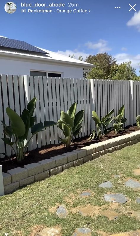 Queensland Backyard Landscaping, Queensland Landscaping Ideas, Simple Clean Backyard Landscape, Tropical Garden Design Landscaping Front Yards, Simple Front Yard Landscaping Australian, Australian Backyard Ideas, Simple Front Garden Ideas Australian, Front Garden Ideas Australian, Front Garden Bed