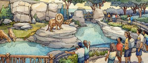 Zoo Enclosures, Zoo Drawing, Zoo Boo, Zoo Inspiration, Zoo Games, Zoo Map, Zoo Book, Zoo Design, Zoo Project