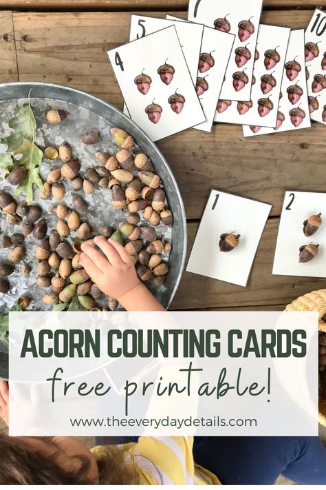 Acorn Math Activities Preschool, Acorn Preschool Theme, Acorn Sensory Bin, Acorn Counting Preschool, Autumn Counting Activities, 5 Little Acorns, Acorn Crafts Preschool, October Math Activities, Acorn Writing