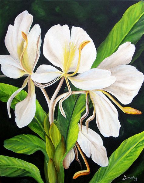 White Ginger White Ginger Flower, Ginger Painting, Lily Flower Painting, Watercolor Lesson, Contemporary Botanical Art, Ginger Lily, Smelling Flowers, Ginger Flower, Polynesian Art