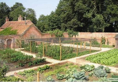 Fruit Cages, Fruit Cage, Garden Netting, Allotment Gardening, Growing Gardens, Potager Garden, Veg Garden, Vegetable Garden Design, Design Garden