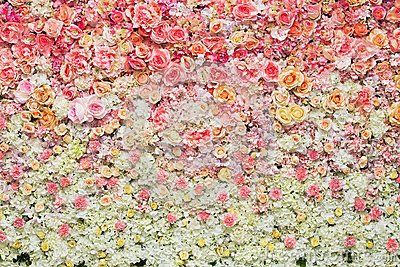 Beautiful flowers background for wedding Prop Photography, Backdrop Photo, Flower Wall Backdrop, Muslin Backdrops, Wedding Scene, Pink Rose Flower, Party Photography, Floral Backdrop, Wall Backdrops