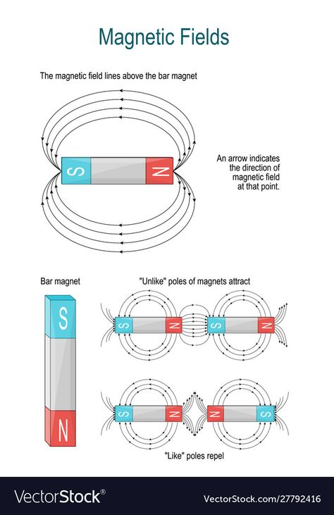 Magnetic Field Lines, Magnets Science, Basic Physics, Earth's Magnetic Field, Physics Notes, Shape Vector, Magnetic Attraction, Magnetic Force, Physics And Mathematics