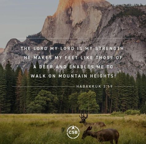 Habakkuk 3:19 Habakkuk 3 19, My Lord, My Strength, A Deer, Walk On, The Lord, Deer, Bible, Walking