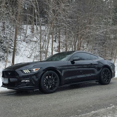 2016 5.0 Love... Mustang GT Premium, Blacked Out Edition. COYOTE POWERED!!! Black Mustang Gt, 2016 Mustang Gt, 2018 Mustang, 2016 Mustang, Mustang Gt Premium, Black Mustang, Small Luxury Cars, Ford Mustang Ecoboost, New Mustang