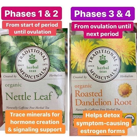 Dr. Alex & Megan | ZestyGinger on Instagram: “[Cycling Teas for a Better Period] . . . As a review: living in sync with what our bodies are optimizing for us anyways has TRANSFORMED our…” Flo Living, Nettle Tea, Cycling Food, Roasted Dandelion Root, Hormone Balancing Diet, Foods To Balance Hormones, Losing Hair, Herbal Education, Dandelion Tea