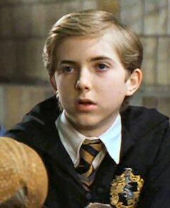 Ernest "Ernie" Macmillan (b. 1980) was a pure-blood wizard who attended Hogwarts School from 1991 to 1998 and was sorted into Hufflepuff house. He became a member of Dumbledore's Army and fought in the Battle of Hogwarts - Harry Potter wiki Harry Potter Movie Characters, Harry Potter Wiki, Hufflepuff Pride, Hufflepuff House, School Of Witchcraft, Neville Longbottom, Harry Potter Scene, Harry Potter Images, Harry Potter 2