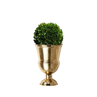 This DIY kit of lush green boxwood topiary and gold urn vase makes a luxurious combination for a table centerpiece. Our natural, 6-inch preserved boxwood ball provides a classic style to any decor and looks beautiful both hung or used as a topper in our majestic gold urn. It is suitable for indoor use only. The gorgeous gold metal urn vase featuring simple yet elegant details is the perfect complement to any floral display and also an ideal vase to make your tablescape pop. This lovely pair will Gold Urn, Wedding Aisle Decor, Traditional Vases, Boxwood Balls, Preserved Boxwood, Centerpiece Home, Boxwood Topiary, Urn Vase, Wedding Aisle Decorations