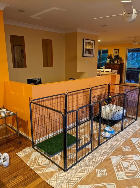 Outdoor Puppy Pen, Puppy Pen Ideas Indoor Small Space, Dog Playpen Indoor Ideas, Dog Pen Ideas Indoor, Puppy Crate Setup, Indoor Dog Pen, Playpen For Dogs, Dog Room Design, Dog Breeding Kennels