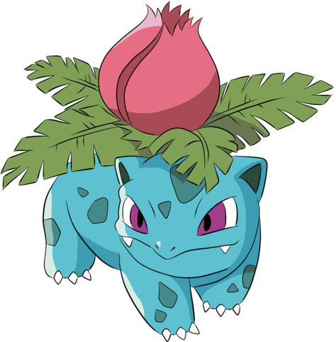 Ivysaur Ivysaur Drawing, Ivysaur Pokemon, Pokemon Bulbasaur, Catch Em All, My Pokemon, Art Sketchbook, Pokemon, Sketch Book, Art Drawings