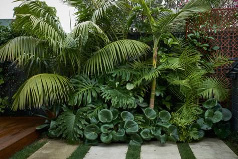 Garden Backyard Ideas, Modern Tropical Home, New Zealand Garden, Tropical Backyard Landscaping, Small Tropical Gardens, Tropical Landscape Design, Indoor Oasis, Enchanting Garden, Tropical Garden Design