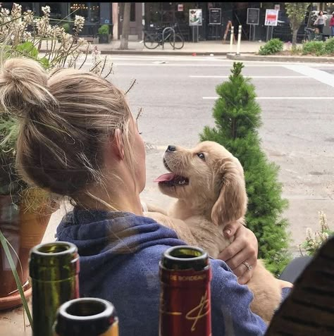 Golden Retriever Girl Aesthetic, Daisy Calloway, Sometimes People, Silly Things, Retriever Puppy, Homemade Dog, Alam Yang Indah, Dog Beds, Cute Creatures