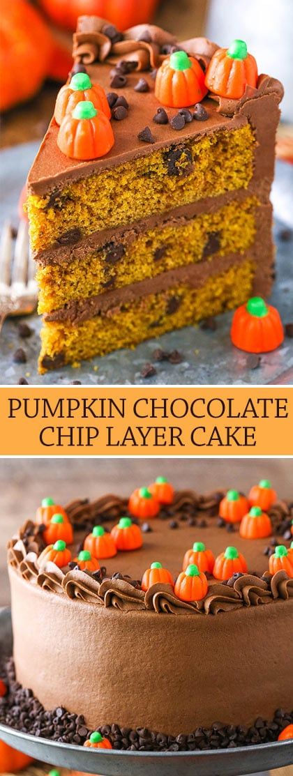 Pumpkin Chocolate Chip Layer Cake - Life Love and Sugar Pumpkin Chocolate Chip Cake, Moist Pumpkin Cake, Cake With Chocolate Chips, Coconut Hot Chocolate, Chocolate Chip Cake, Smooth Cake, Pumpkin Chocolate Chip, Pumpkin Chocolate Chips, Pumpkin Candy