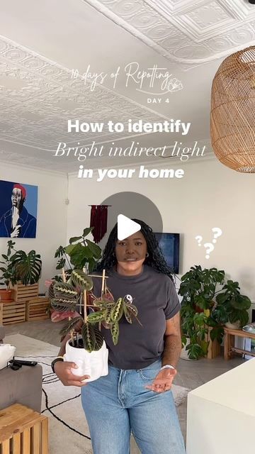 Nkhensani Rikhotso | HerMerakai on Instagram: "What does Bright Indirect Sunlight actually mean? 👀☀️ 

Every looked at the care instructions for a plant you want to buy and it says, low/bright indirect/ bright light and you had no idea what it means? 

Here’s my quick planty hack to help you identify the best light for any plant 🪴 

#plantlovers #houseplantcare #brightindirectlight #houseplantclub #houseplantlove  #houseplantjournal #houseplantsofinstagram #houseplantsmakepeoplehappy #urbanjungle to 
#therealhouseplantsofinstagram #houseofplantlovers #plantsmakemehappy #monsteramonday #blackgirlsgardening #helloplantlover #noirplantclub #pocketofmyhome #urbanjunglebloggers #plantsofinstagram #ihavethisthingwithplants #crazyplantlady #indoorplants #houseplantcommunity #jungalowstyle #plan Indirect Lighting Plants, Plant Corner Living Room With Grow Light, Bright Indirect Light, Succulent Ideas, Lit Meaning, Jungalow Style, Plant Journal, Indirect Sunlight, Indirect Lighting