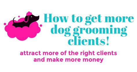 Dog Grooming Marketing Ideas, Dog Grooming Advertising Ideas, Dog Grooming And Boarding Ideas, Dog Grooming Salon Ideas Decor Business, Grooming Business Ideas, Dog Grooming Instagram, Dog Grooming Shed Salon, Grooming Shop Ideas, Grooming Salon Decor