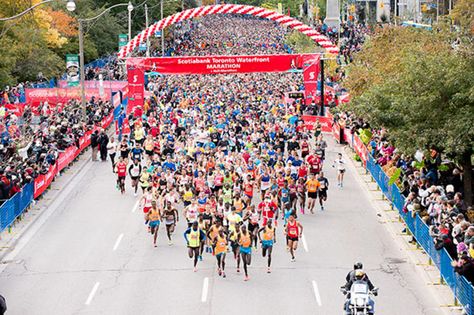 Toronto Waterfront Marathon, La Marathon, City Marathon, Big Six, Runner's World, Runners World, Marathon Runners, Marathons, Marathon Running