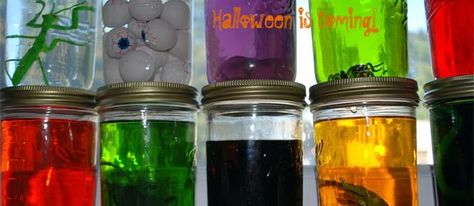 halloween-specimen-jars Science Halloween, Mad Scientist Halloween, Cheap Halloween Diy, Creepy Halloween Food, Mad Scientist Party, Cheap Diy Halloween Decorations, Cheap Halloween Decorations, Halloween Science, Science Birthday