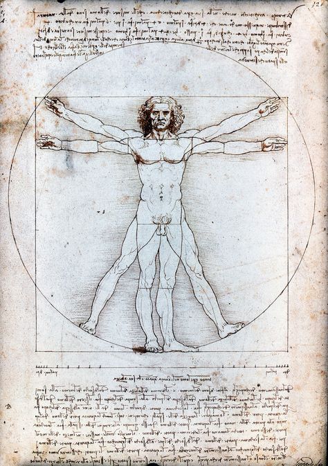 El descubrimiento de la circunferencia - Relatos Vitruvian Man Tattoo, Da Vinci Vitruvian Man, Vitruvian Man, Human Figure Drawing, Remus Lupin, Oil Painting Reproductions, Painting Reproductions, Anatomy Art, Exhibition Poster