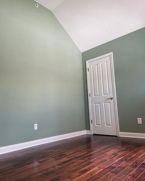 Sw Willow Tree, Willow Tree Sherwin Williams, Sherwin Williams Coastal Plain, Sherwin Williams Coastal, Warm Paint Colors, Tree Interior, Choosing Paint, Coastal Plain, Monochromatic Color Scheme