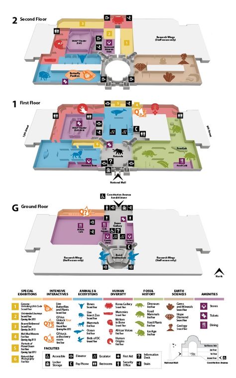 Floor Plans of the Smithsonian National Museum of Natural History- color coordinated map Museum Dinosaurs, Museum Flooring, National Museum Of Natural History, Natural History Museum London, Museum Plan, Building Map, Museum Exhibition Design, Wayfinding Design, Wayfinding System