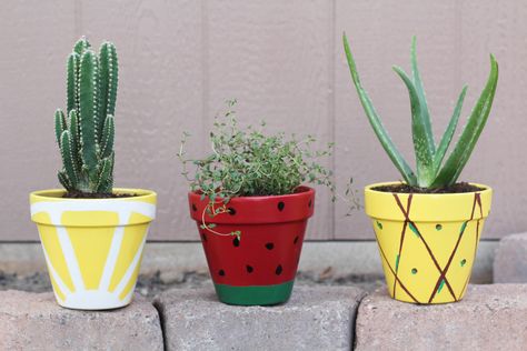 Green Spray Paint, Plant Pot Design, Painted Pots Diy, Flower Pot Design, Painted Clay Pots, Fleurs Diy, Painted Terra Cotta Pots, Flower Pot Crafts, Diy Flower Pots