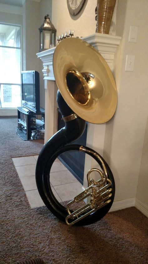 Brass Instruments, French Horn, Brass Band, Heavy Metal Bands, Trombone, Musical Instrument, Metal Bands, Musical Instruments, Music Festival