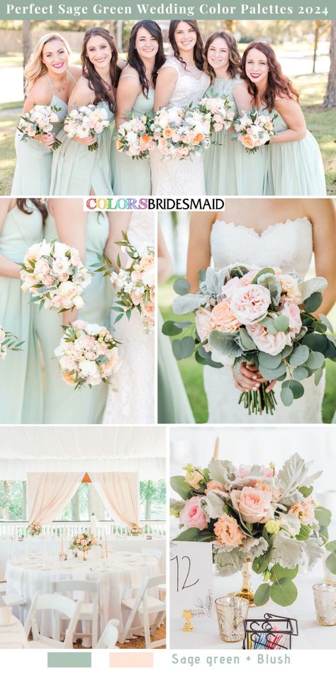 7 Perfect Sage Green Wedding Color Palettes for 2024 - ColorsBridesmaid Sage Green Wedding Color Schemes, Green Wedding Color Schemes, Blush Wedding Decorations, Green And Blush Wedding, Bible Collection, Blush Wedding Centerpieces, Wedding In Spring, Sage Green Wedding Colors, Blush Wedding Colors