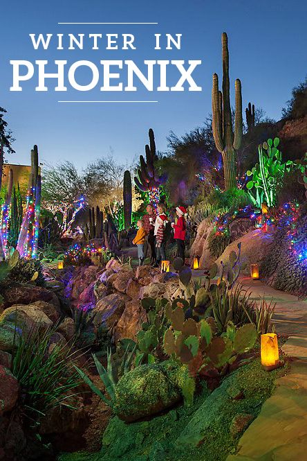 Christmas In Phoenix Arizona, Phoenix In December, Things To Do In Arizona In Winter, Things To Do In Phoenix Arizona Winter, Things To Do In Phoenix Arizona Kids, Phoenix Arizona Outfits Winter, Phoenix Things To Do, Phoenix Travel Guide, Phoenix With Kids