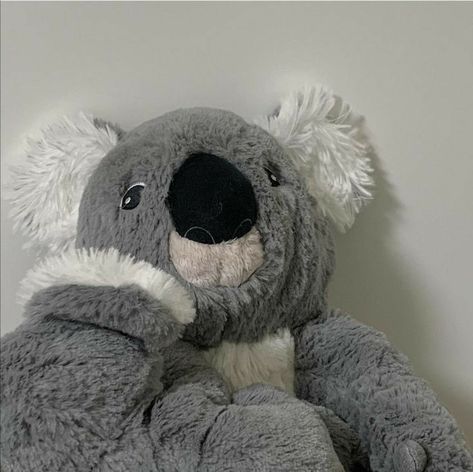 Gray Aesthetic, Pretty Colours, Book Aesthetic, Things To Buy, Koala, Aesthetic Wallpapers, Teddy Bear, Toys, Animals