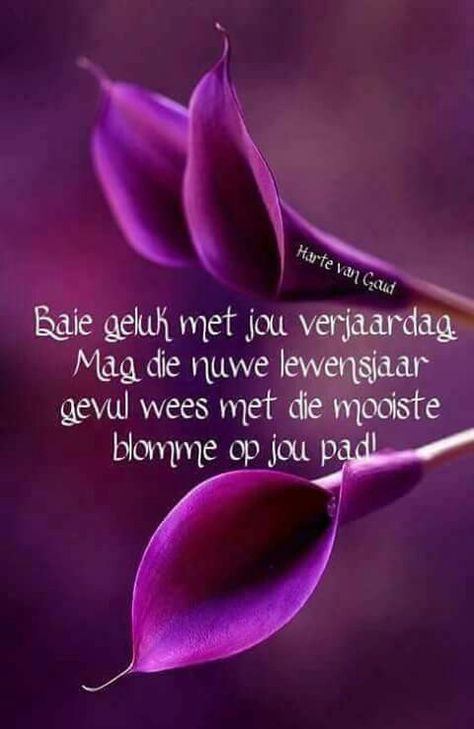 Verjaardagwense Afrikaanse Vrou, Lekker Verjaar, Birthday Message For Brother, Best Birthday Wishes Quotes, Funny Happy Birthday Images, Happy Birthday My Friend, Sympathy Card Messages, Card Messages, Happy Birthday Wishes Quotes