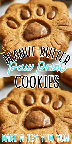 Peanut Butter Paw Print Cookies Paw Print Cookies, Peanut Blossom Cookies, Homemade Chocolate Chip Cookies Recipe, Creme Brulee Cheesecake, Blossom Cookies, Chunky Peanut Butter, Types Of Chocolate, Paw Paw, Chocolate Cookie Recipes