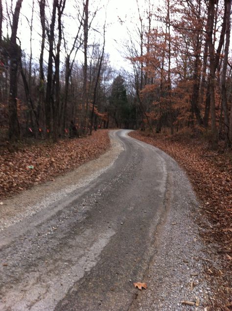 those old kentucky roads... Rural Kentucky, Kentucky Girl, Beauty Places, My Old Kentucky Home, Best Places To Live, Precious Memories, Take Me Home, Kentucky, Beautiful Places