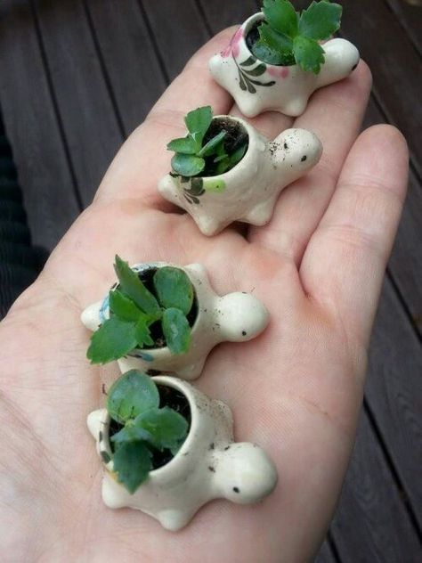 Tiny Pots, Diy Keramik, ดินปั้น Polymer Clay, Clay Diy Projects, Tanah Liat, Keramik Design, Clay Art Projects, Cute Clay, Ceramics Ideas Pottery