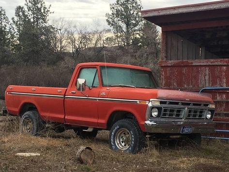 Old Ford Pickup Truck, Old Ford Pickups, 1979 Ford Truck, Vintage Vw Bus, Vintage Pickup Trucks, Classic Ford Trucks, Old Ford Trucks, Ford 4x4, Old Pickup Trucks