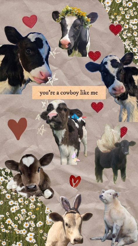 Cow Wallpaper, Baby Farm Animals, Fluffy Cows, Cowgirl Aesthetic, Baby Cows, Cow Art, Cute Cows, Highland Cow