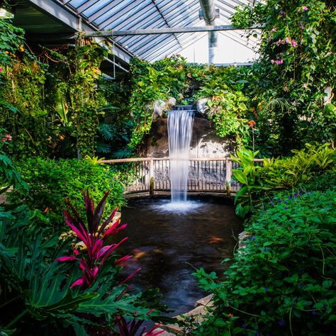 Cambridge Butterfly Conservatory, Indoor Botanical Garden Architecture, Huge Greenhouse Conservatory, Tropical Greenhouse Design, Butterfly Greenhouse Aesthetic, Indoor Butterfly Garden, Bird Conservatory, Indoor Garden Architecture, Conservatory Pool