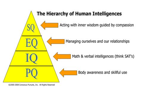 Hierarchy of Intelligence Hierarchy Of Beauty, Spiritual Intelligence, Visual Intelligence, Psychology Notes, Brain Facts, Mental Health Facts, Psychology Fun Facts, Personal Improvement, Emotional Awareness