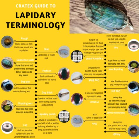 Lapidary Workshop, Polishing Rocks, How To Polish Rocks, Lapidary Art, Rock Tumbling, Lapidary Supplies, Rocks And Gems, Rock Hounding, Petrified Wood