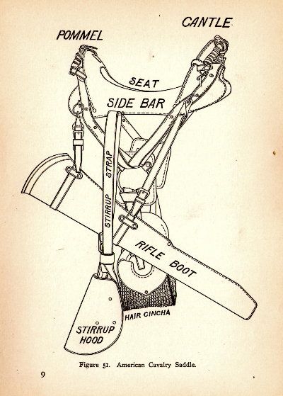 The McClellan Saddle (M1904 and later) was designed with purely military applications in mind. The saddle came in seat sizes ranging from approximately eleven to 12 ½ inches with some rare exceptions. The seat sizes accommodate a wide range of riders within the desired weight of those riders as well as the combined weight of rider an kit (which could be upwards of 250 lbs total). Types Of Saddles, Mcclellan Saddle, Parts Of An English Saddle, Coming Soon Landing Page, Parts Of A Western Saddle, Devoucoux Saddle, Trail Saddle Western, Saddle Fitting, Cowboy Action Shooting