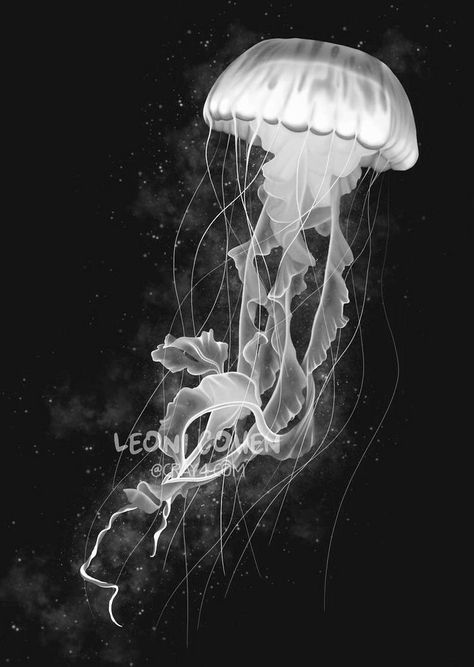 Medusa Animal, Ocean Life Photography, Jellyfish Pictures, Jellyfish Photography, Jellyfish Painting, Art Coquillage, Scratchboard Art, Underwater Painting, Jellyfish Tattoo