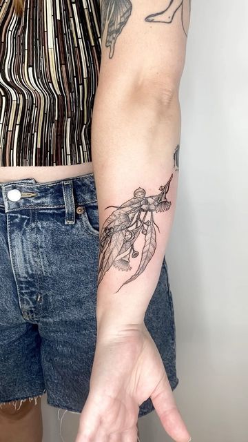 Australian Bird Tattoos For Women, Australian Flora And Fauna Tattoo, Australian Tattoos Women, Australian Fauna Tattoo, Australian Native Tattoo Sleeve, Australian Natives Tattoo, Australian Plant Tattoo, Gumnut Babies Tattoo, Native Australian Tattoo