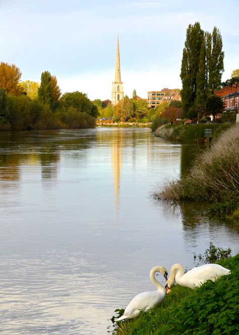 River Severn - Worcester, UK Study Abroad England, Worcestershire England, Worcester Cathedral, Worcester England, River Severn, British Countryside, Scottish Thistle, Hereford, English Rose