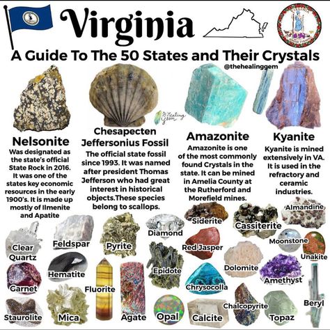 Virginia Rocks And Minerals, Rock Identification Pictures, Gem Hunting, Raw Gemstones Rocks, Gem Hunt, Rock Identification, Minerals Crystals Stones, Rock Tumbling, Rock Hunting