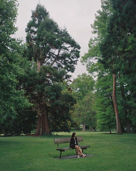 📼 (@pameluft) posted on Instagram: “sat at that park bench by chance and it ended up having a dedication to someone named Pam. hoping one day I can have my own at a favorite,…” • Sep 1, 2021 at 9:57pm UTC Girl Struggles, Photo Composition, Photography Inspo, Photo Inspo, Park Bench, One Day, Bench, I Can, Instagram Photo