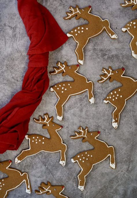 Gingerbread Reindeer Cookies For Santa | Simmer + Sauce Deer Gingerbread Cookies, Christmas Reindeer Cookies Decorated, Reindeer Cutout Cookies, Gingerbread Cookies Design, Gingerbread Reindeer Cookies, Decorated Reindeer Cookies, Reindeer Christmas Cookies, Christmas Cookies Reindeer, Reindeer Cookies Decorated