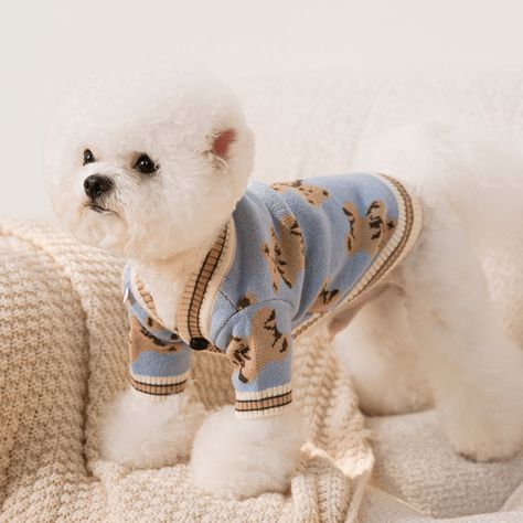 Bichon Frise Puppy, Dog Outfits, Winter Typ, Dog Vest, Luxury Pet, Puppy Clothes, Tiny Dogs, Luxury Dog, Dog Sweaters